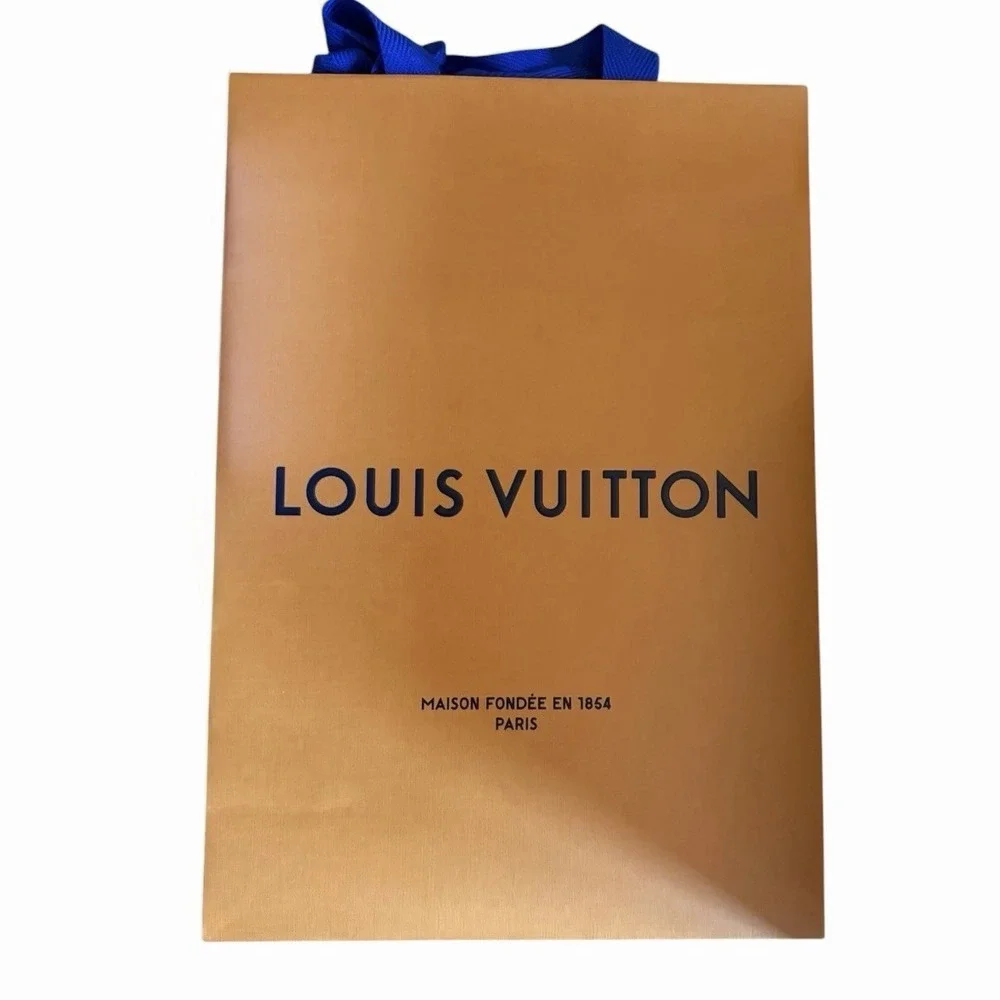 LOUIS VUITTON & Chanel empty Box Shopping Bags LV, Longchamps, Dior, Coach